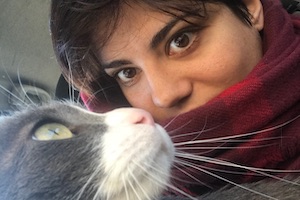 Stella Terzo