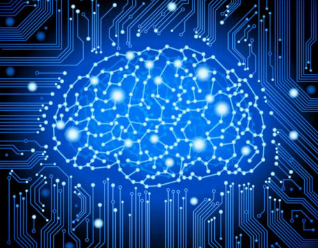 Mind 18 Circuit Brain 1