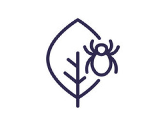 pest on a plant line icon vector 42366101