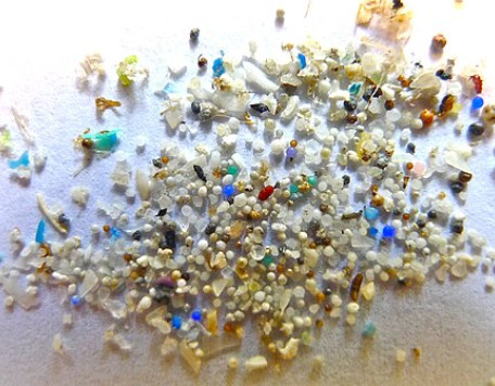 512px Microplastic