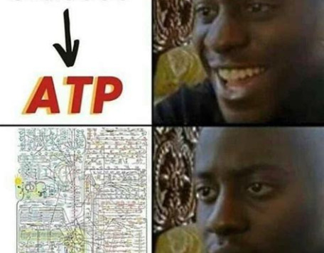 Glucose ATP MEME