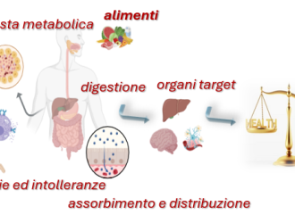alimentazione v3