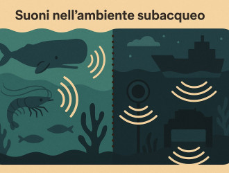 compressed underwater sounds