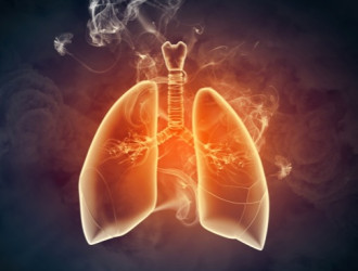 Body 36 Smoking Lungs