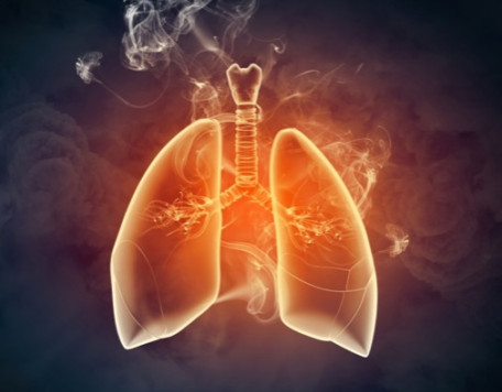 Body 36 Smoking Lungs
