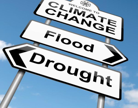 Earth 06 Climate Change