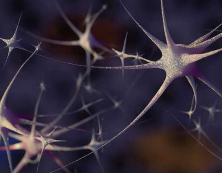 Mind 02 Neuron