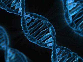 dna 163466 1280